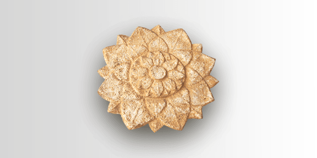 lotus